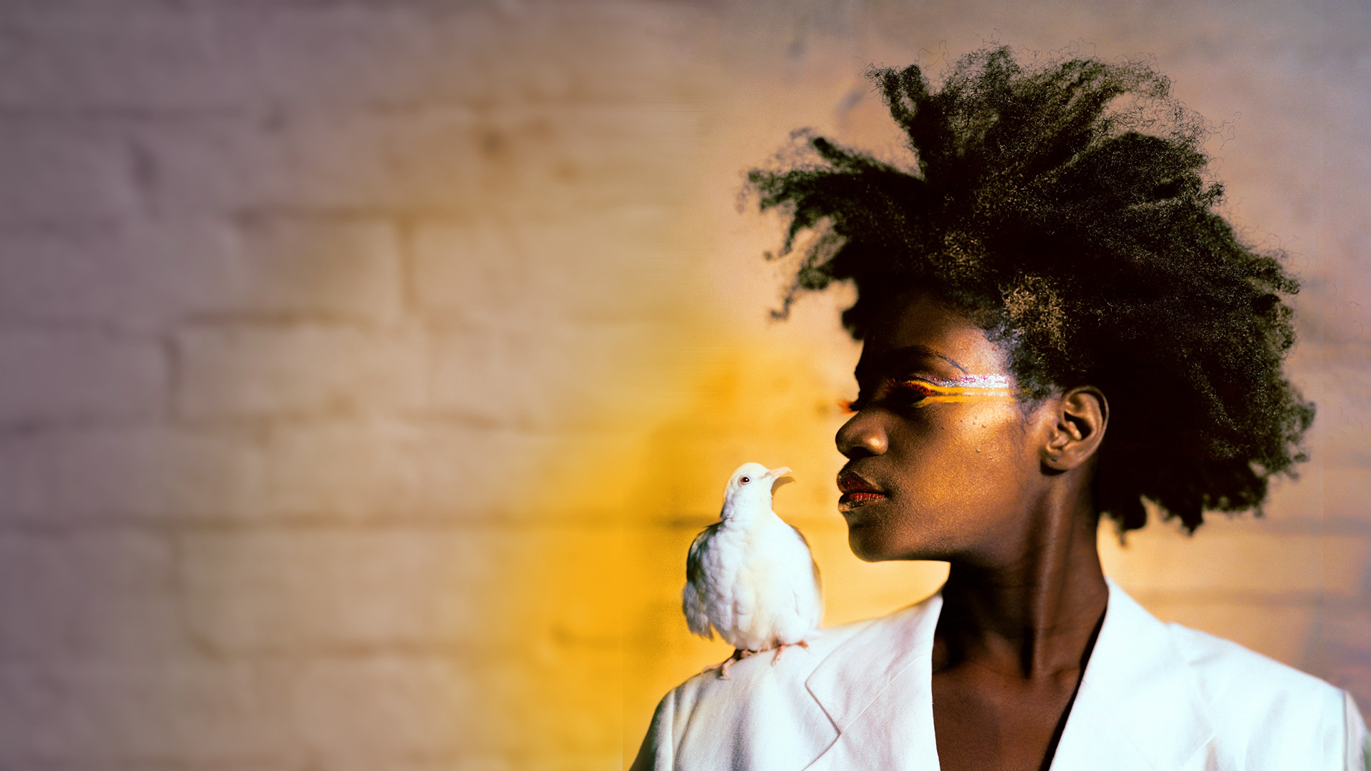 Through a Lens Darkly Knowledge.ca